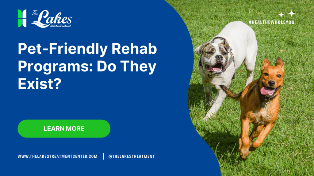 pet-friendly-rehab-programs