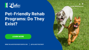 pet-friendly-rehab-programs