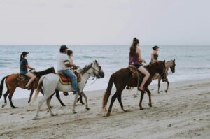 holistic-drug-rehab-programs