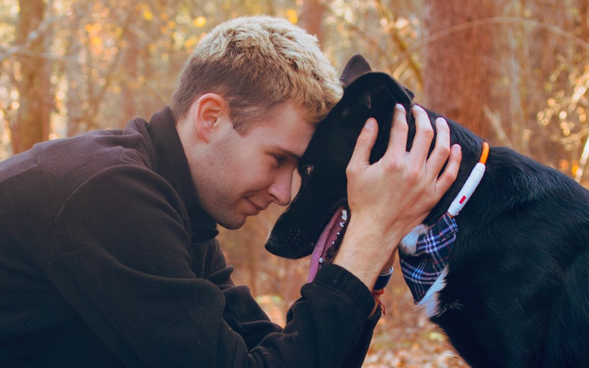 pet-friendly rehab programs